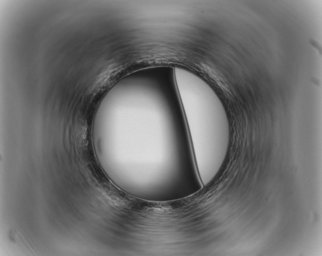 X0000096970548200802080925