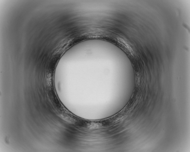 X0000096970549200802080925