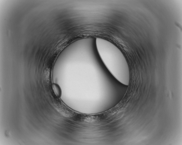 X0000096970550200802080925