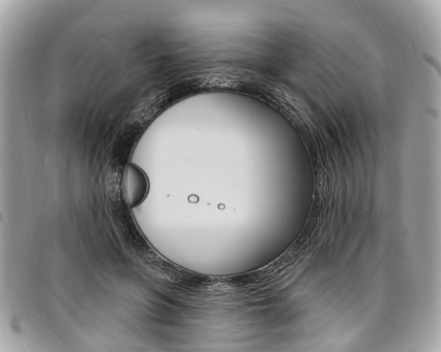X0000096970551200802080925
