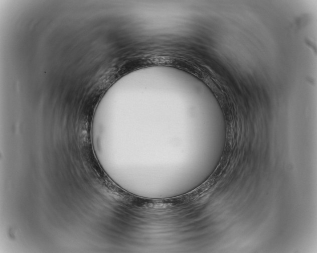 X0000096970553200802080926