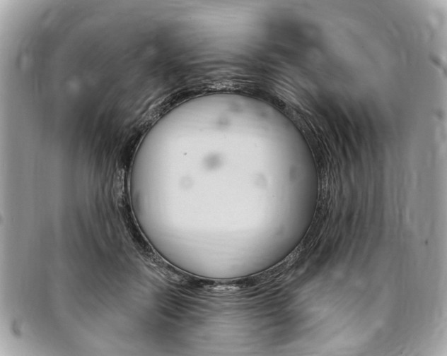 X0000096970554200802080926