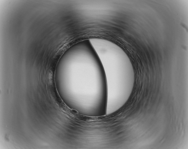 X0000096970556200802080926