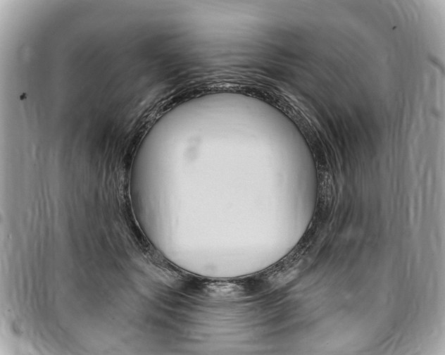 X0000096970557200802080926