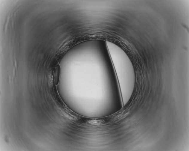 X0000096970558200802080926
