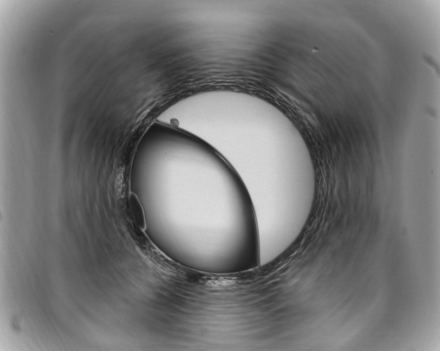 X0000096970560200802080926
