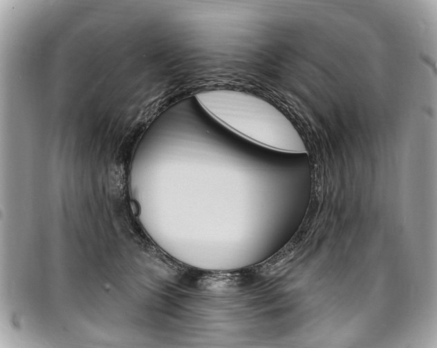 X0000096970563200802080926