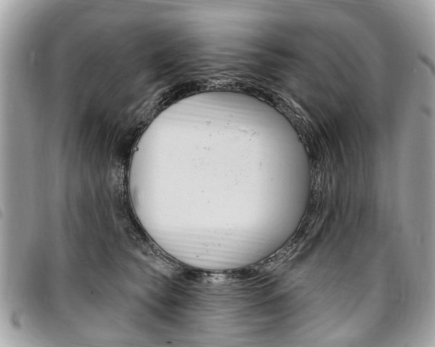 X0000096970565200802080926