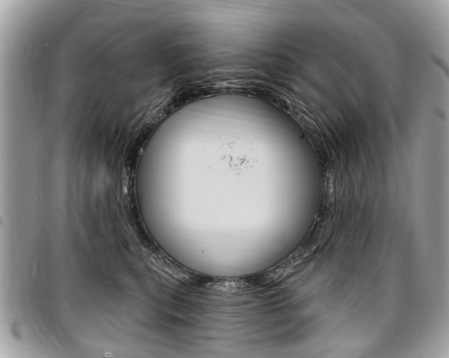 X0000096970567200802080926