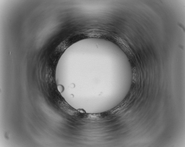 X0000096970573200802080926