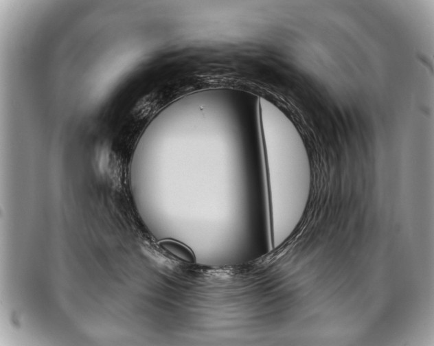 X0000096970574200802080926