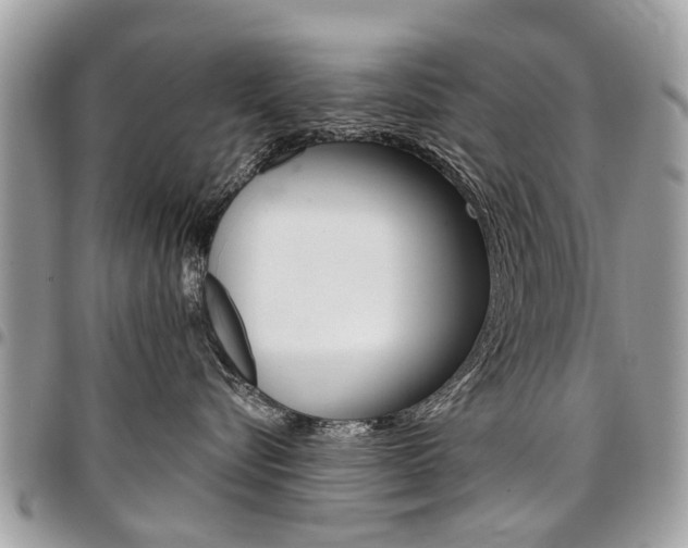 X0000096970576200802080926