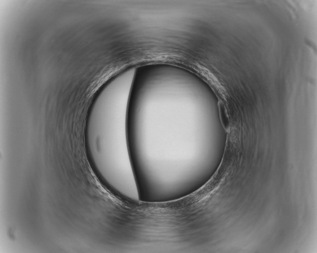 X0000096970577200802080925