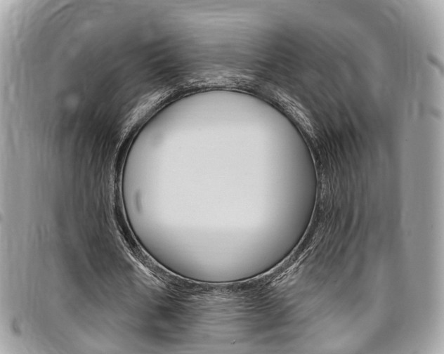 X0000096970578200802080925