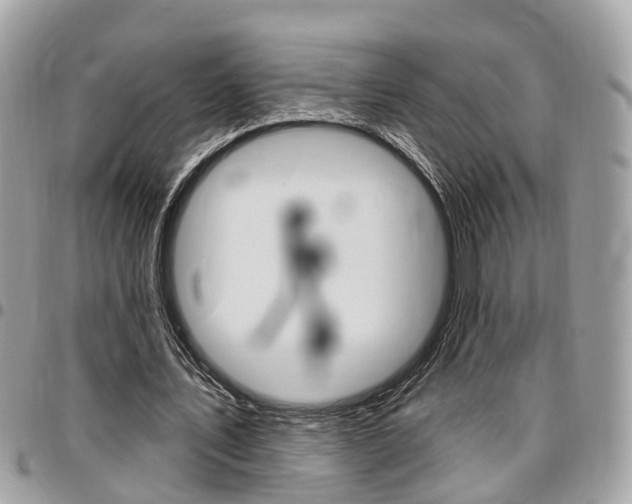 X0000096970579200802080925