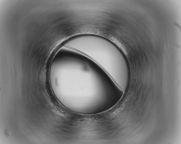 X0000096970580200802080925