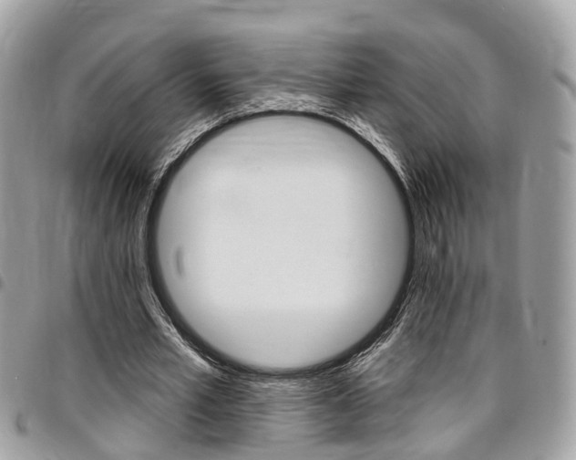 X0000096970581200802080925