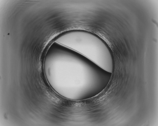X0000096970584200802080925