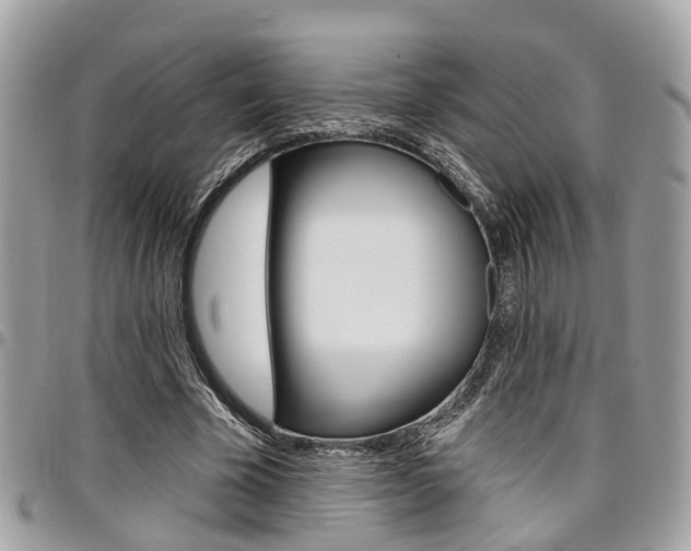 X0000096970585200802080925