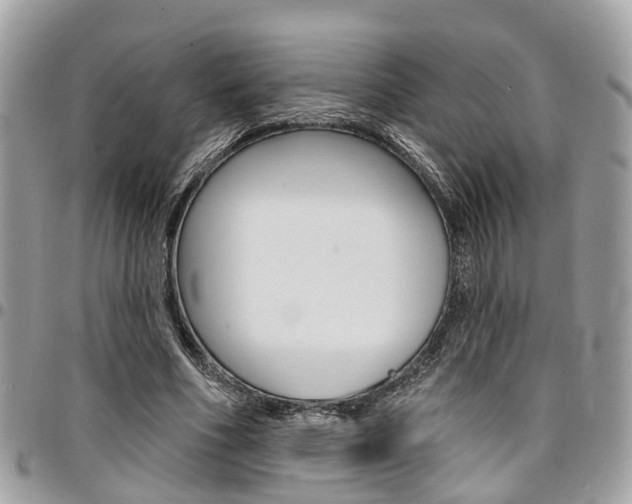 X0000096970586200802080925