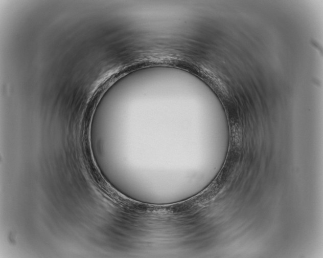 X0000096970587200802080925