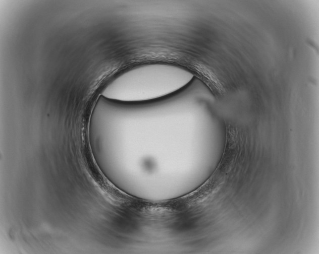 X0000096970590200802080925