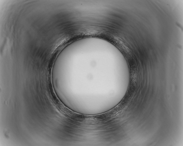 X0000096970591200802080925