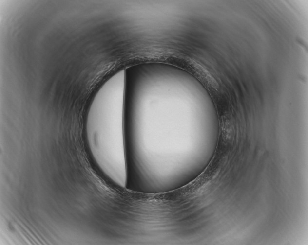 X0000096970593200802080925