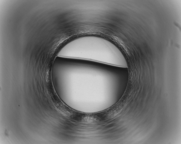 X0000096970596200802080925