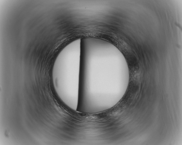 X0000096970599200802080925