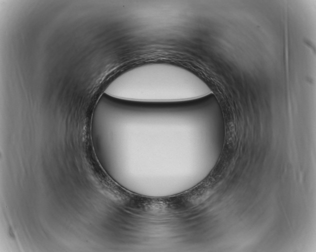 X0000096970600200802080925