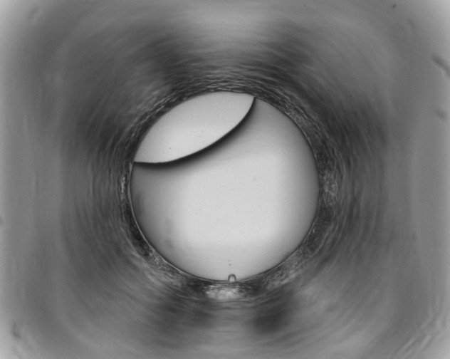 X0000096970602200802080925