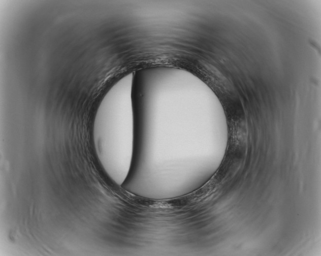 X0000096970603200802080925