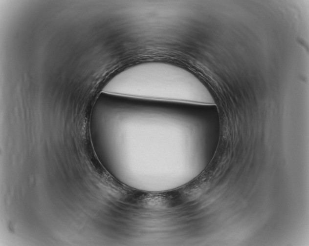 X0000096970604200802080925