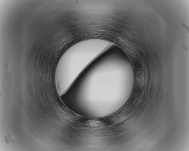 X0000096970605200802080925