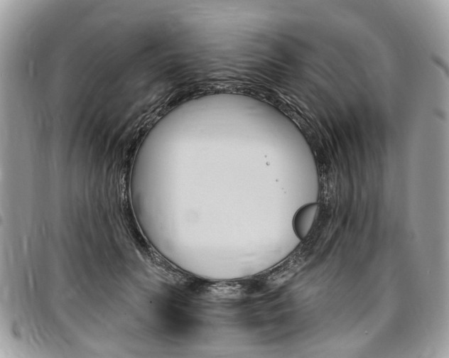 X0000096970606200802080925