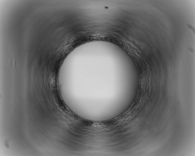 X0000096970608200802080925