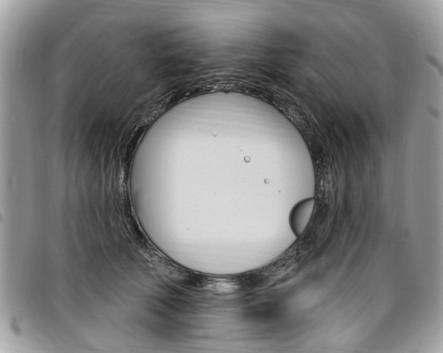 X0000096970610200802080925