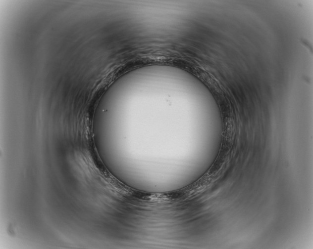 X0000096970612200802080925