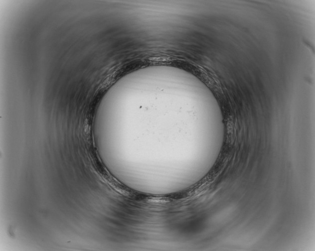 X0000096970614200802080925