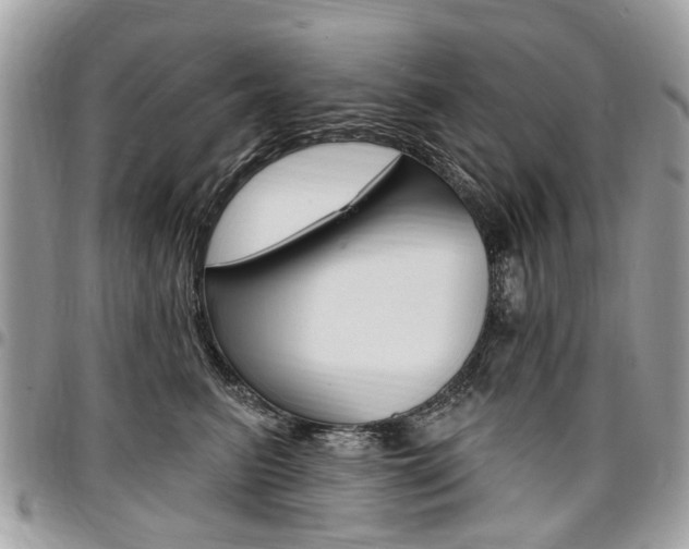 X0000096970615200802080925