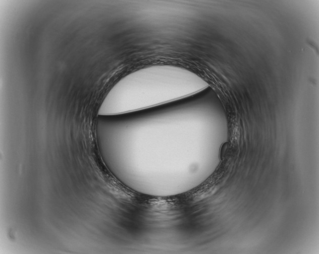 X0000096970616200802080925