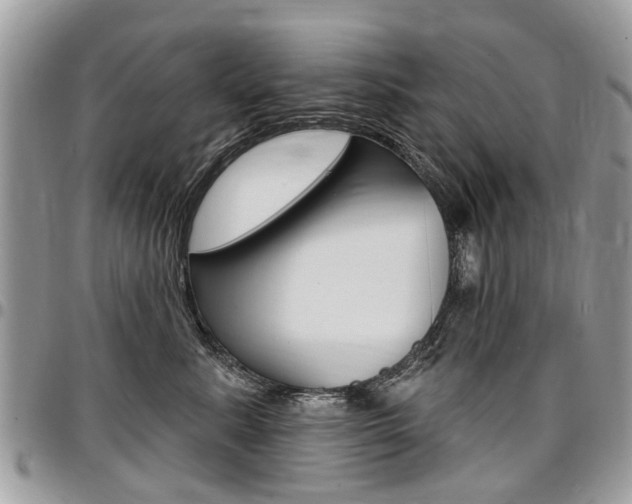 X0000096970619200802080925