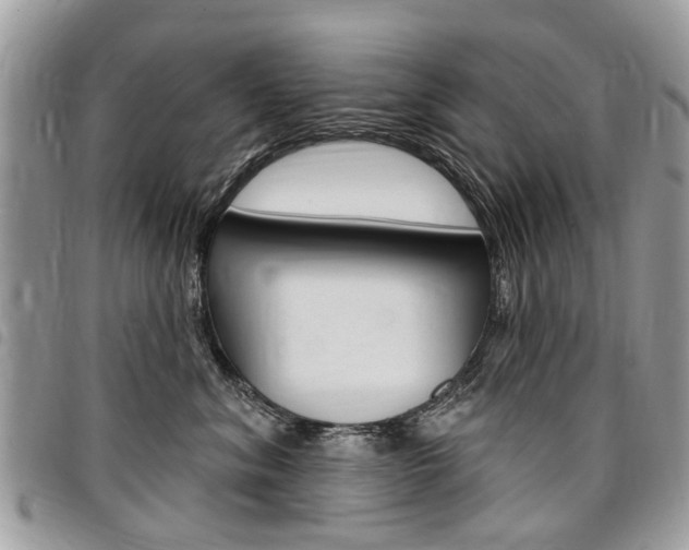 X0000096970620200802080925