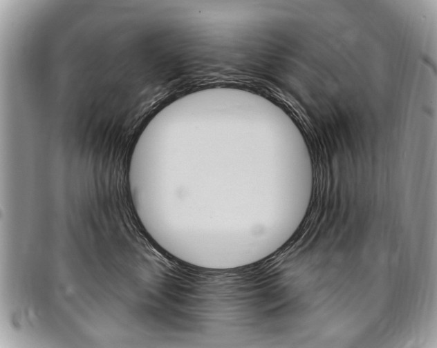 X0000096970621200802080925