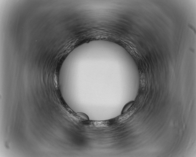 X0000096970622200802080925
