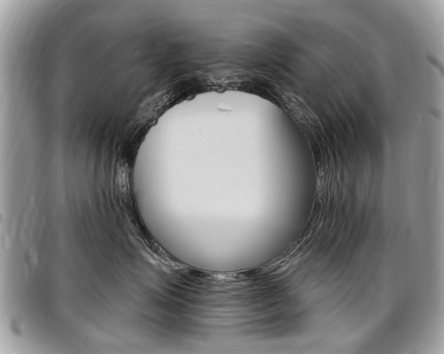 X0000096970623200802080924