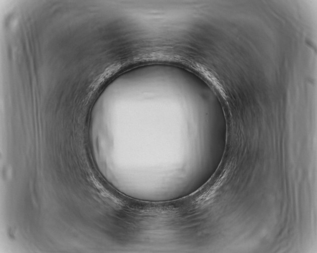 X0000096970625200802080924