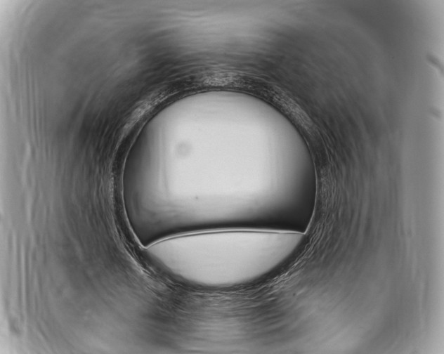 X0000096970626200802080924