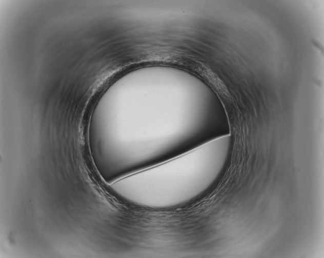 X0000096970628200802080924
